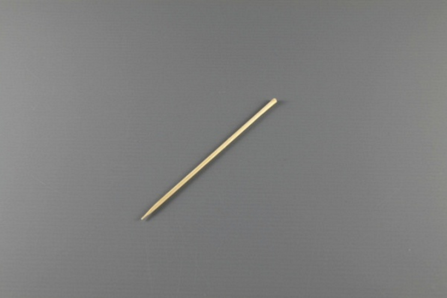 Satsy Stick One Satay Stick Singapore | Tang’s Plastic