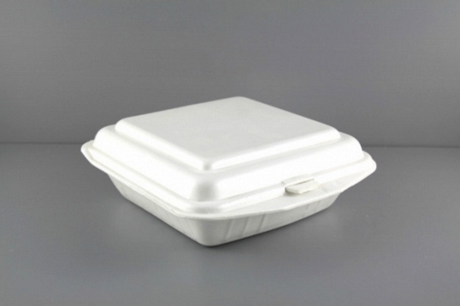Styrofoam Box – WhatsApp us at 8923 7833 for more details